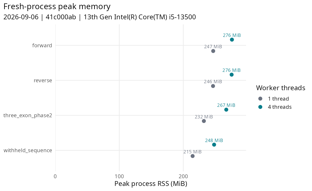 Whole-process peak RSS by case and worker count.