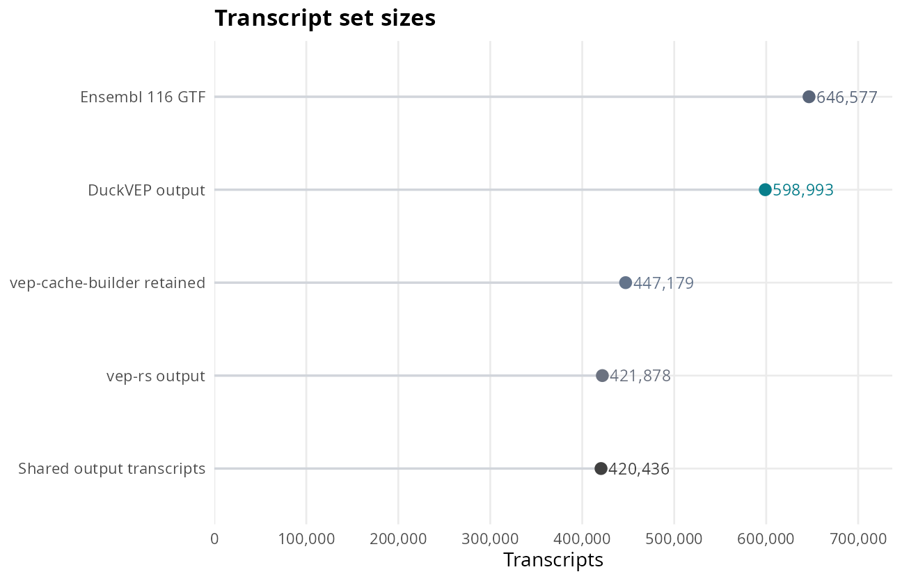 Transcript counts are overlapping set sizes, not disjoint categories. The GTF and cache-builder totals are reported in the archived run analysis; output counts are in adjudication.txt.